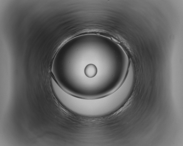 X0000116551369200912171340