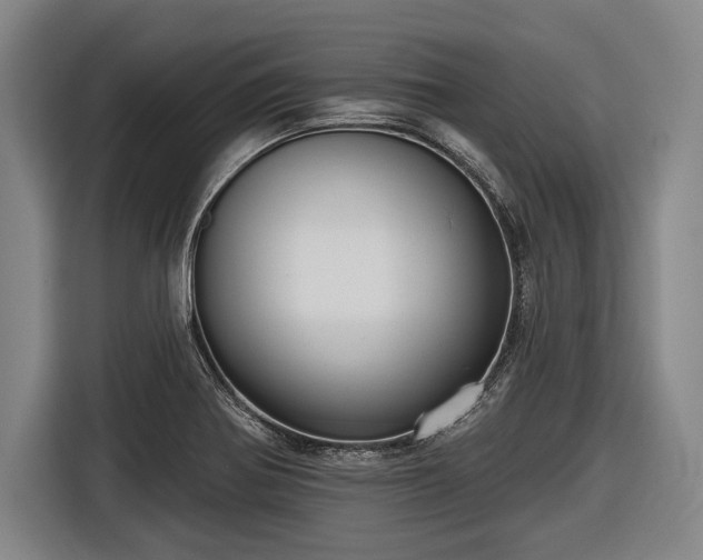 X0000116551370200912171340