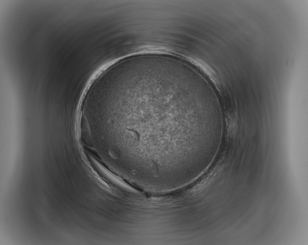 X0000116551371200912171340