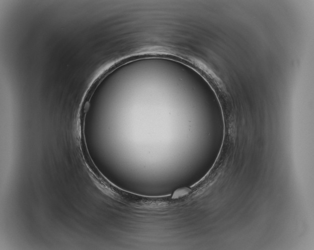 X0000116551372200912171340