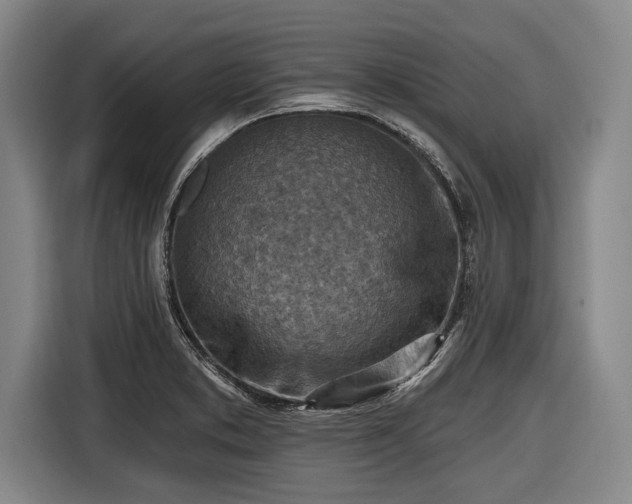 X0000116551373200912171340