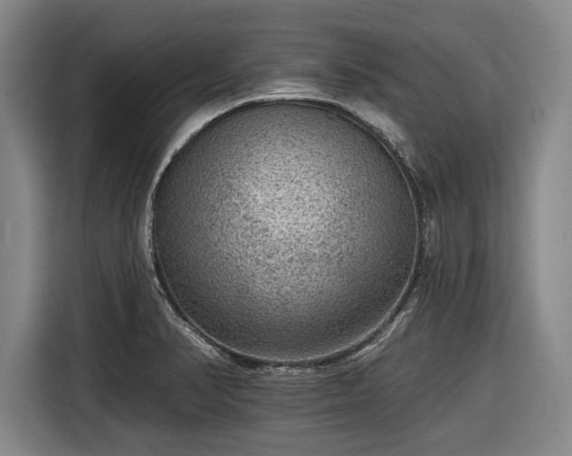 X0000116551374200912171340