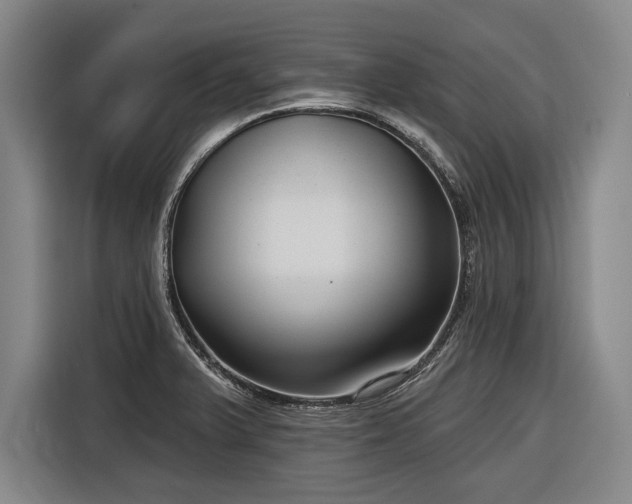 X0000116551375200912171340