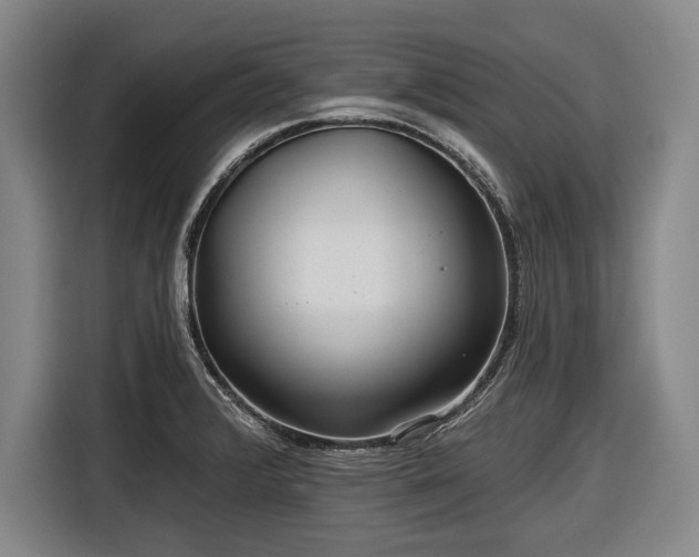 X0000116551376200912171340