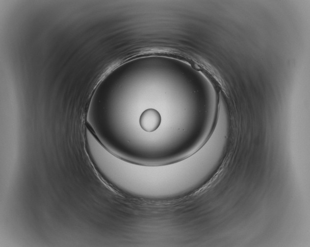 X0000116551377200912171340