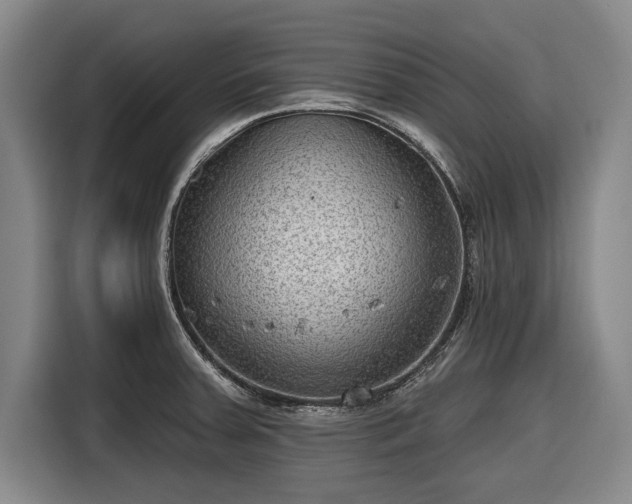 X0000116551379200912171340