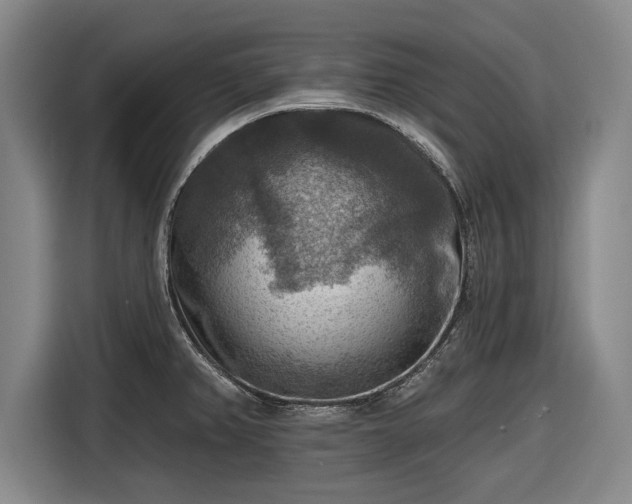 X0000116551382200912171340