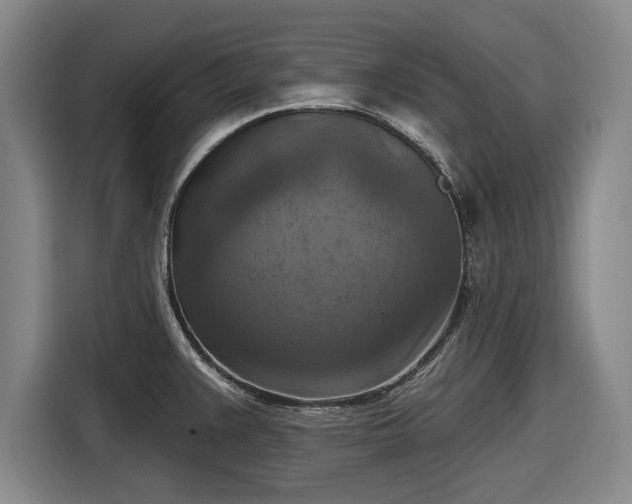 X0000116551383200912171340