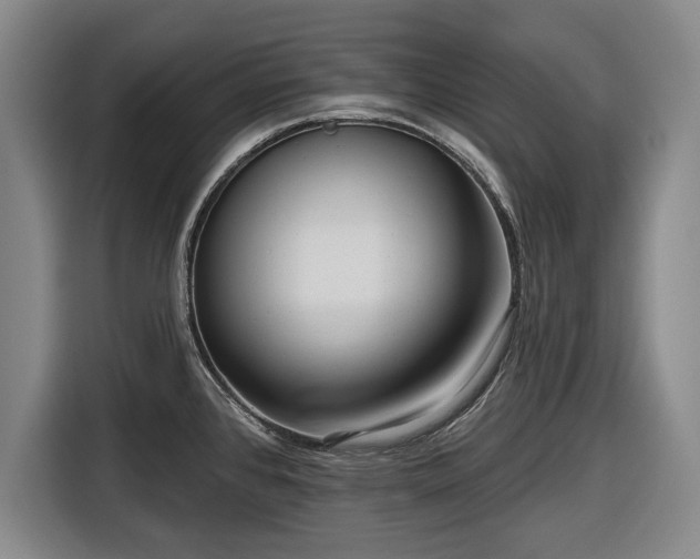 X0000116551384200912171340