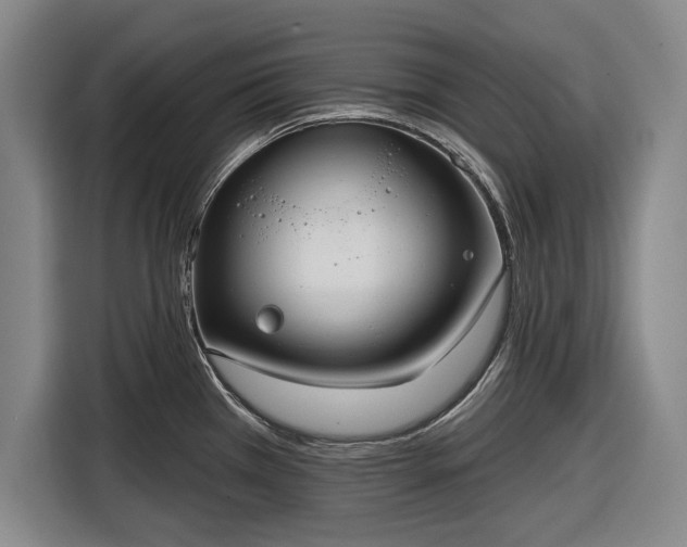 X0000116551385200912171340