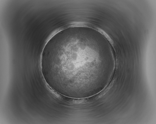 X0000116551386200912171340