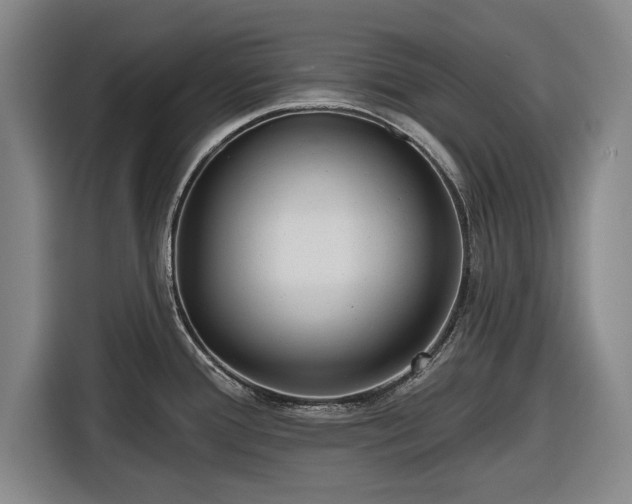 X0000116551388200912171340