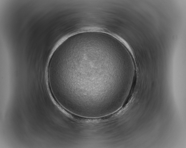 X0000116551389200912171340