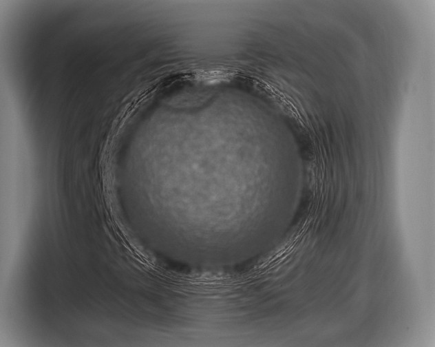 X0000116551393200912171339