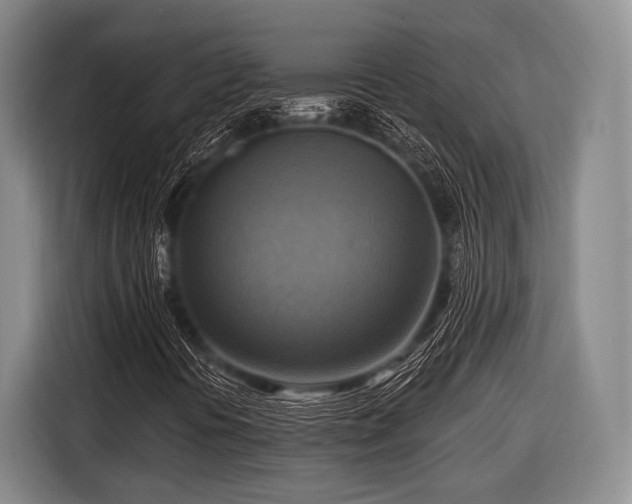 X0000116551394200912171339