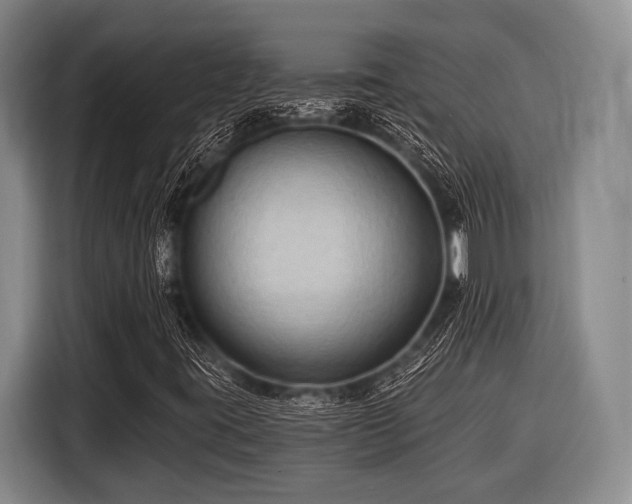 X0000116551395200912171339