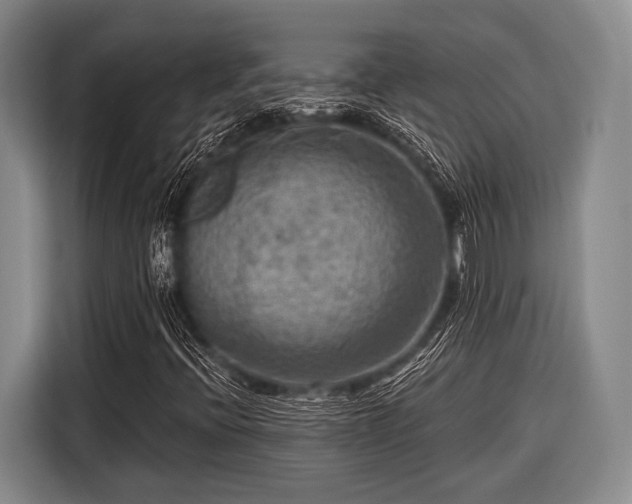 X0000116551396200912171339