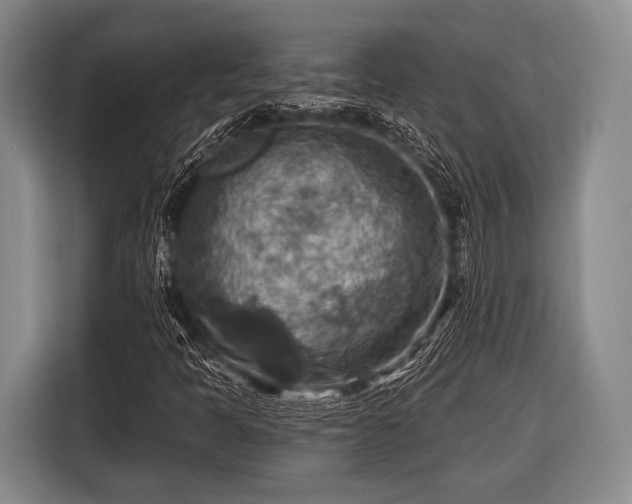 X0000116551397200912171340