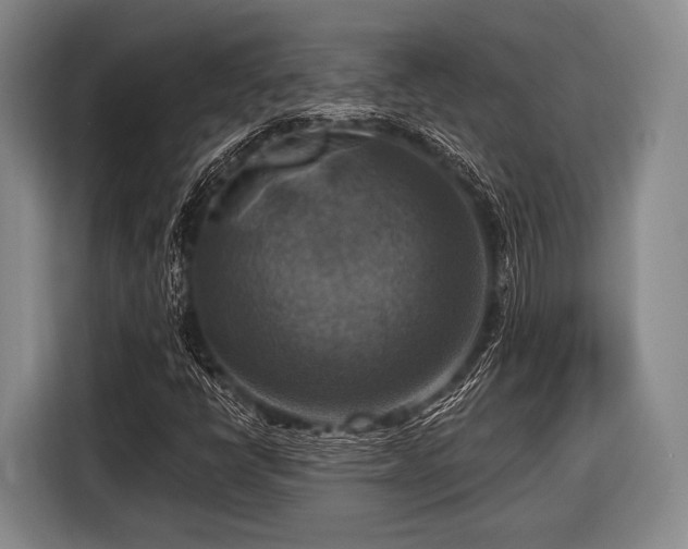 X0000116551398200912171340