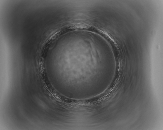 X0000116551399200912171340