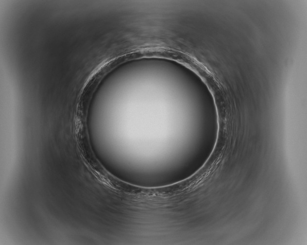 X0000116551400200912171340