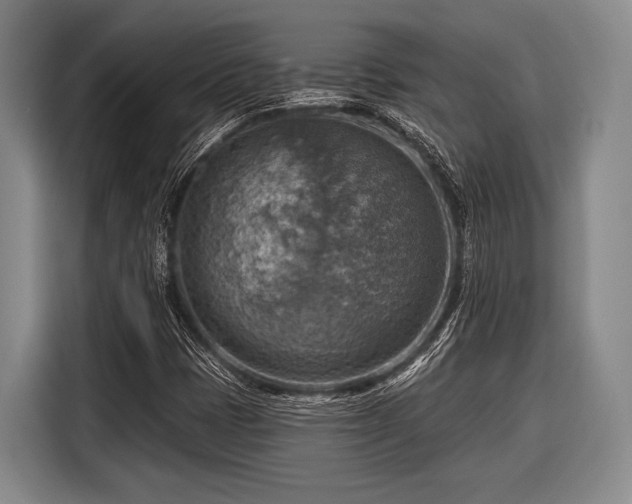 X0000116551401200912171340