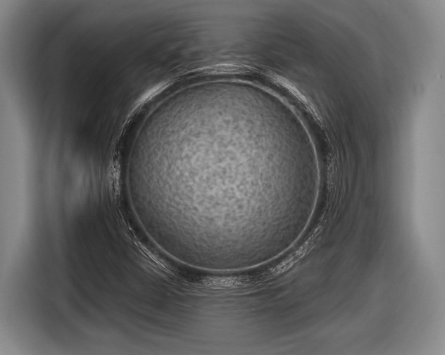 X0000116551402200912171340