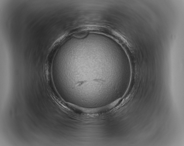 X0000116551403200912171340