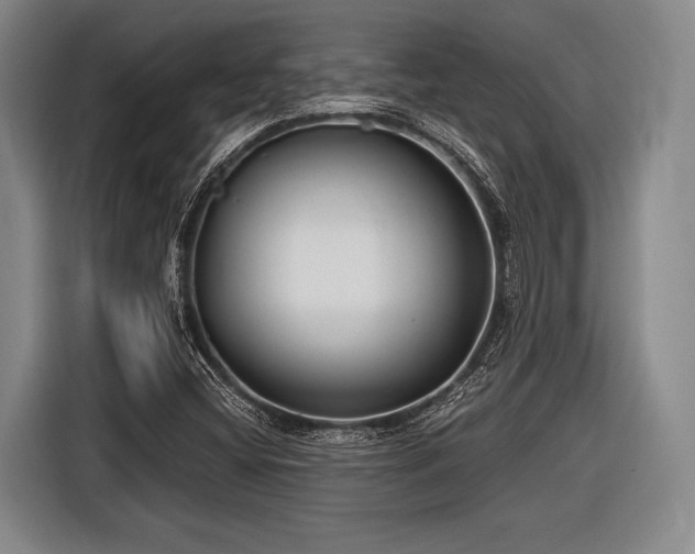 X0000116551404200912171340