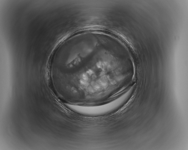 X0000116551405200912171340