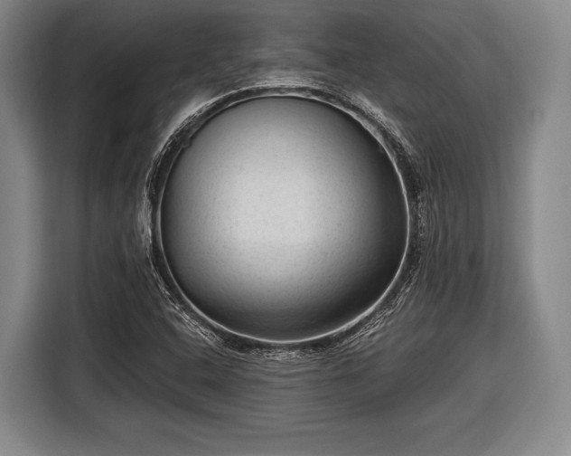 X0000116551408200912171340