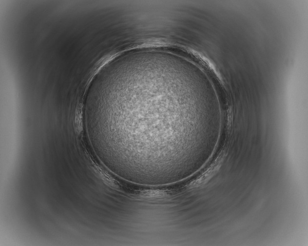 X0000116551409200912171340