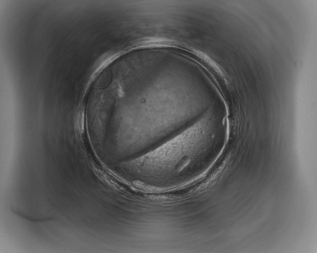 X0000116551413200912171340