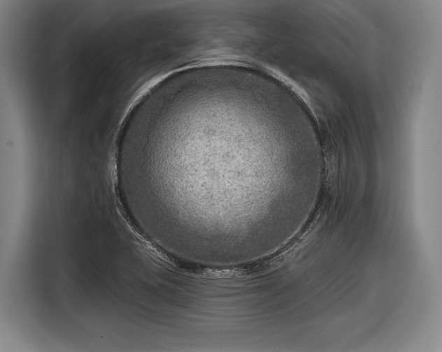 X0000116551415200912171340