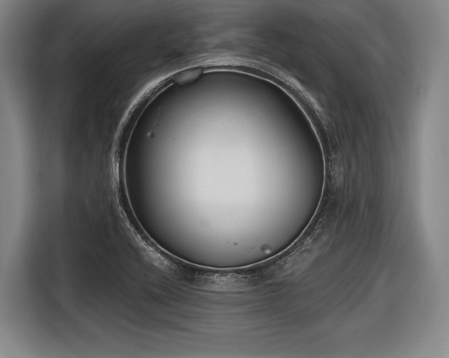 X0000116551416200912171340