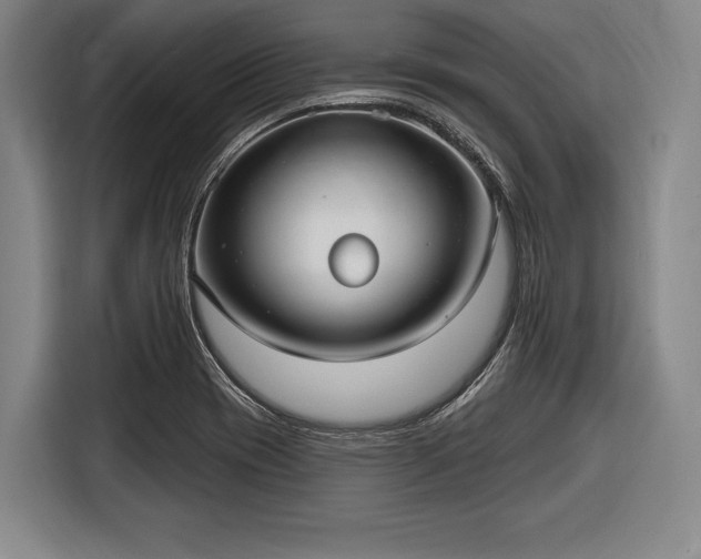 X0000116551417200912171340