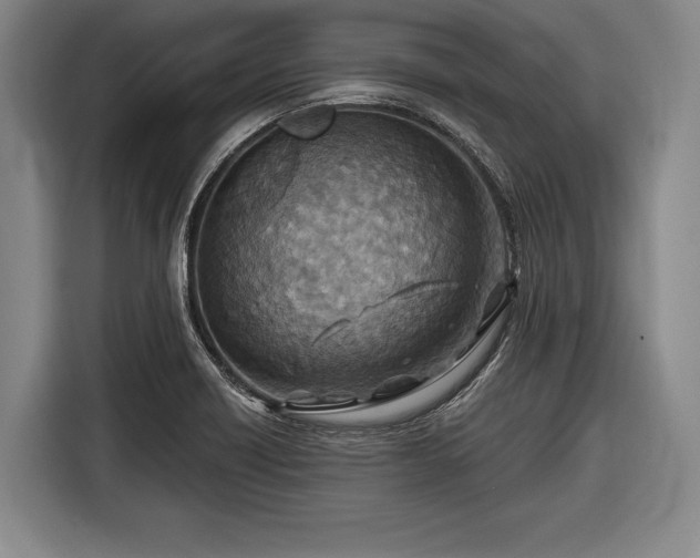 X0000116551418200912171340