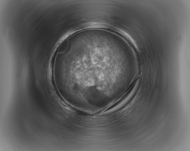 X0000116551419200912171340