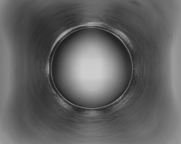 X0000116551420200912171340