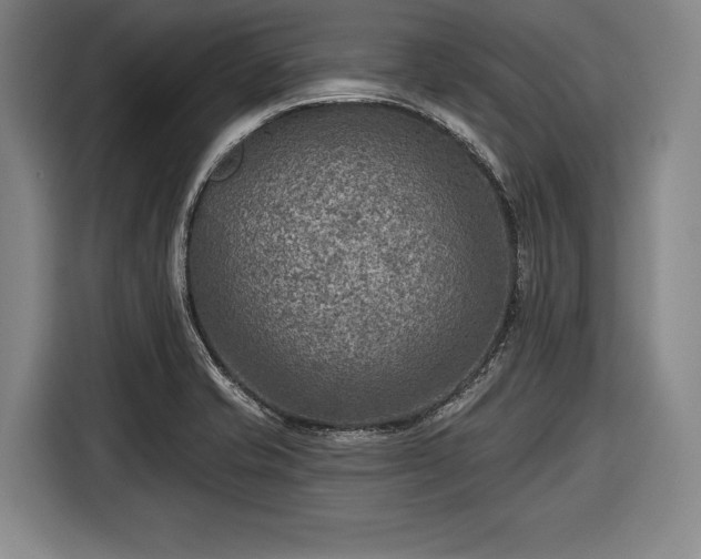 X0000116551421200912171340