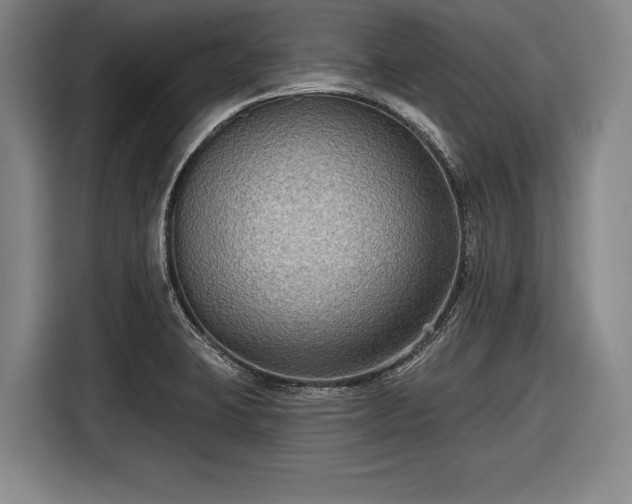 X0000116551423200912171340