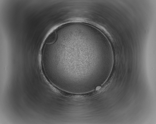 X0000116551424200912171340