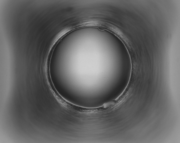 X0000116551426200912171340