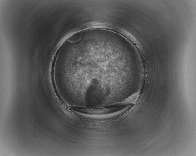 X0000116551427200912171340