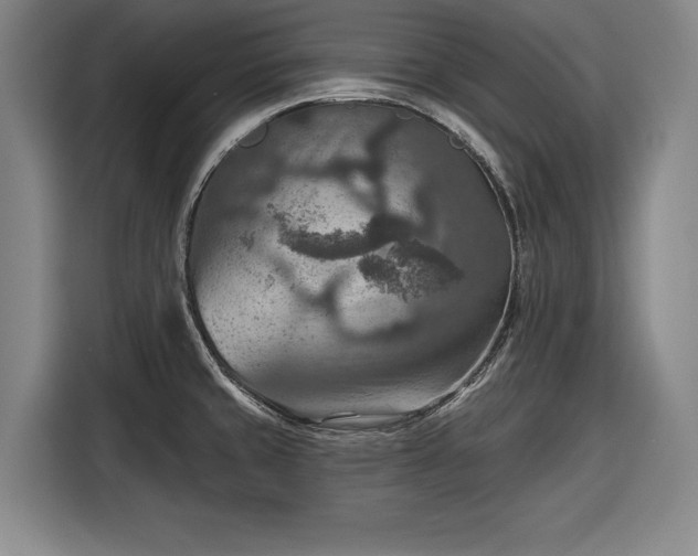 X0000116551429200912171340