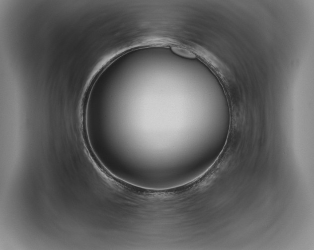 X0000116551430200912171340