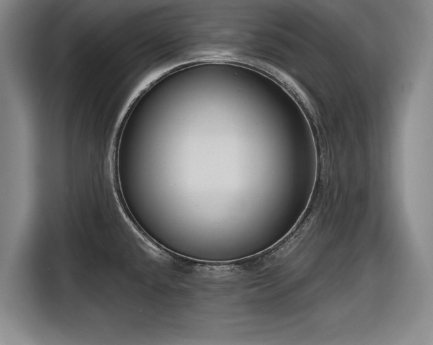 X0000116551432200912171340