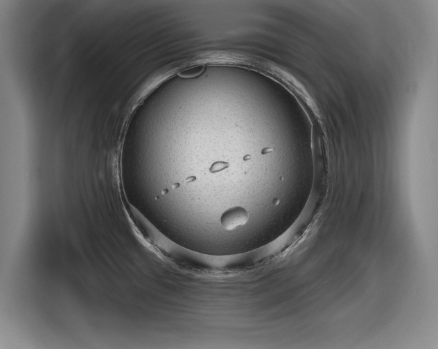 X0000116551433200912171340