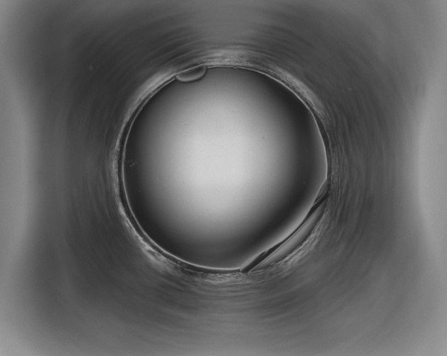 X0000116551434200912171340