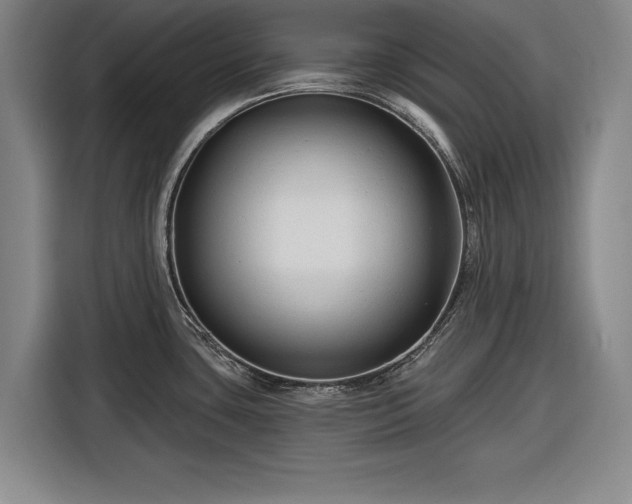 X0000116551435200912171340